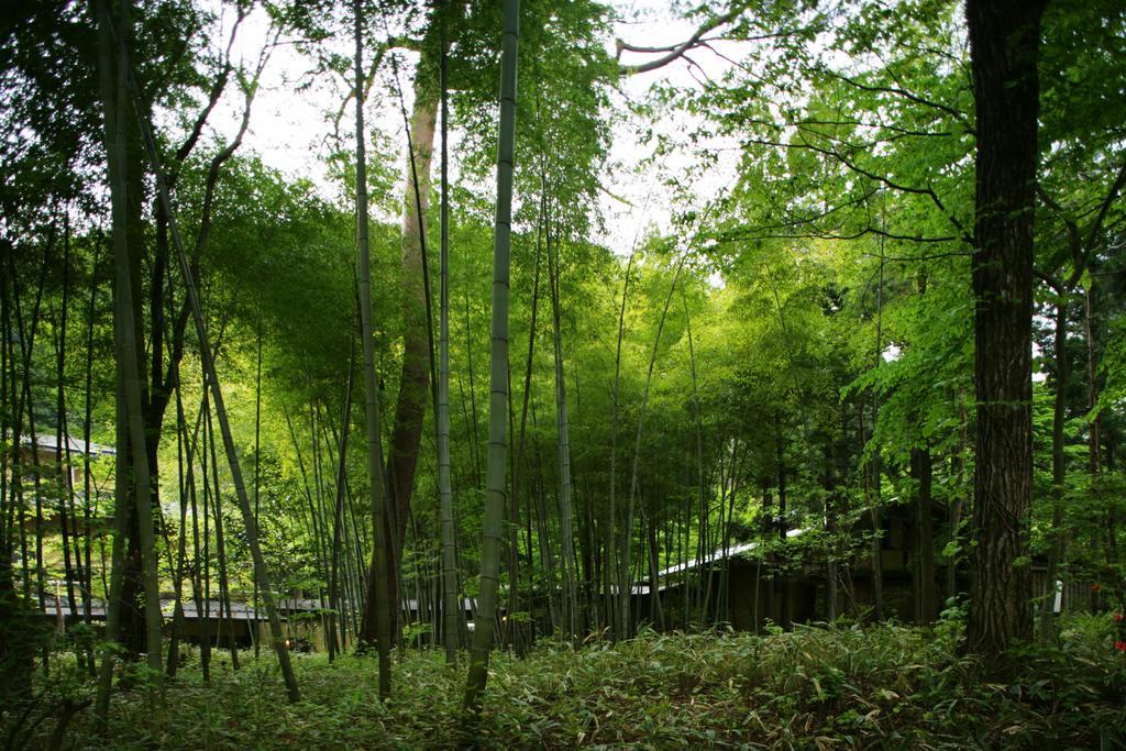 Sekizenkan Kashotei Sanso Nakanojo Exteriör bild